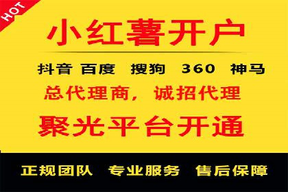 某知名企业SEM营销全案解析